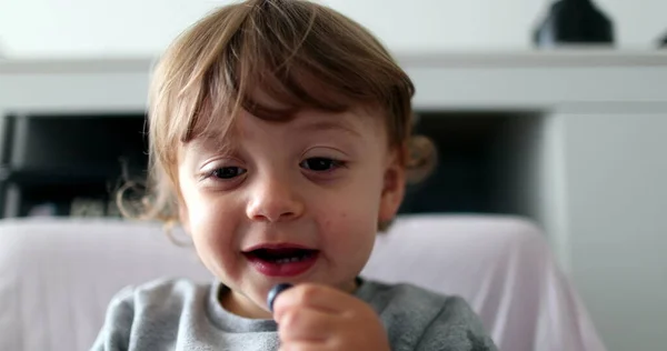 Small Toddler Child Eating Blueberry Fruit — Foto Stock