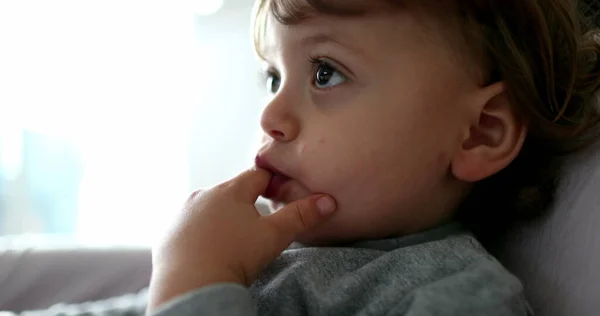 Дитяче Обличчя Тоддлера Гіпнотизується Екраном Поза Камерою — стокове фото