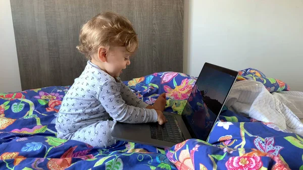 랩탑을 사용하는 갓난아기 컴퓨터로 타자를 — 스톡 사진