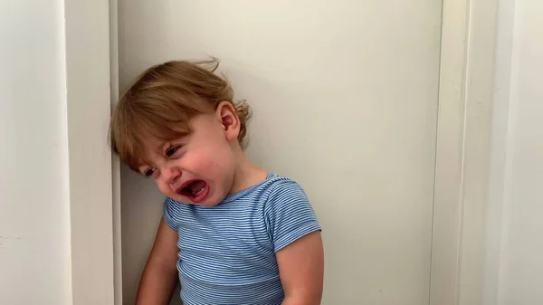 Baby Toddler Tantrum Crying Wanting Mother — Stock Photo, Image