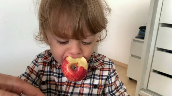 Хлопчик Тоддлер Яблучними Фруктами Роті Тримає Планшетну Техніку — стокове фото