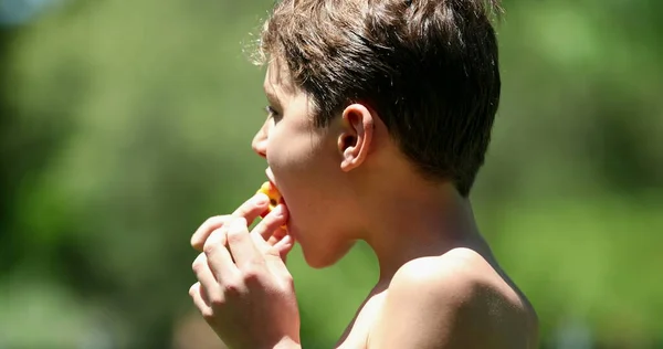 Barn Pojke Äter Persika Frukt Naturen — Stockfoto