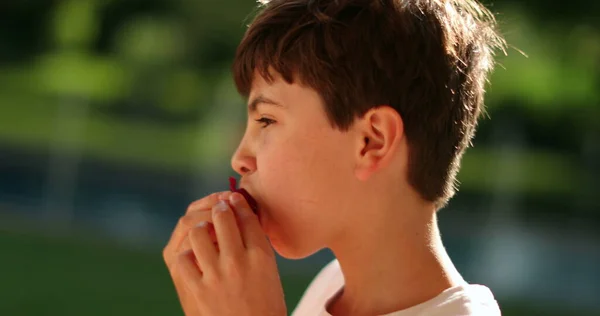 Criança Comendo Lanche Frutas Fora — Fotografia de Stock