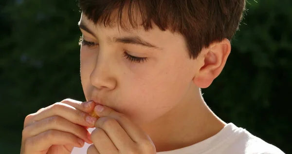 Barn Äter Frukt Mellanmål Utanför — Stockfoto