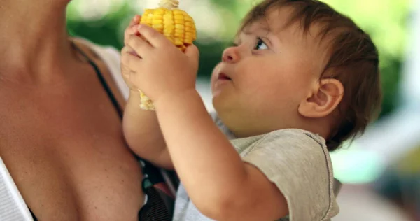 Adorable Baby Toddler Holding Corn Cob Offering Mother — Stok fotoğraf