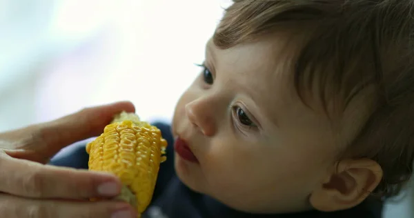 Carino Bambino Che Mangia Mais Alimentazione Dei Genitori Spuntino Infantile — Foto Stock