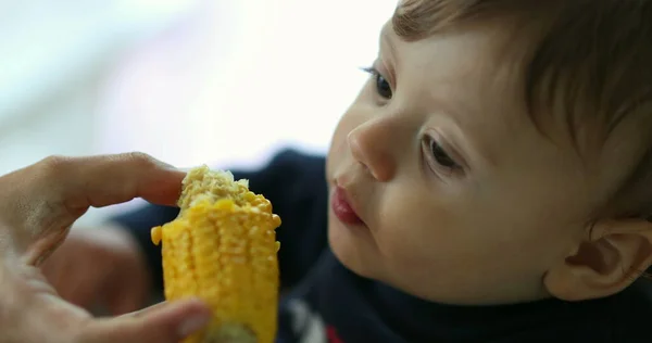 Carino Bambino Che Mangia Mais Alimentazione Dei Genitori Spuntino Infantile — Foto Stock