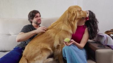 Mutlu çift evde labrador köpeğiyle eğleniyor. 