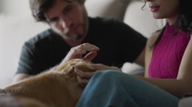 Mutlu çift evde labrador köpeğiyle eğleniyor. 