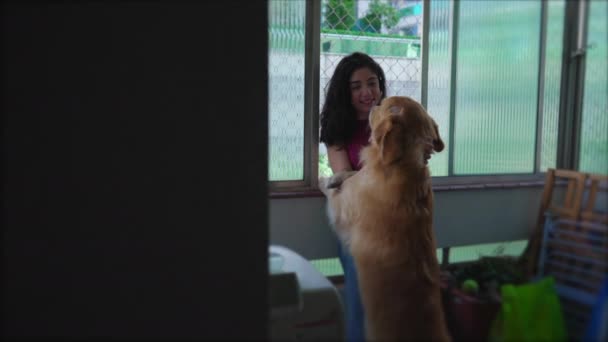幸せな女性が家でラブラドール犬を撫でて — ストック動画