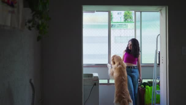 Mujer Feliz Divirtiéndose Con Perro Labrador Casa — Vídeos de Stock