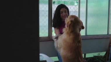 Evde Labrador köpeğini okşayan mutlu kadın. 