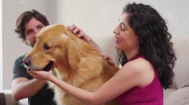 Mutlu çift evde labrador köpeğiyle eğleniyor. 