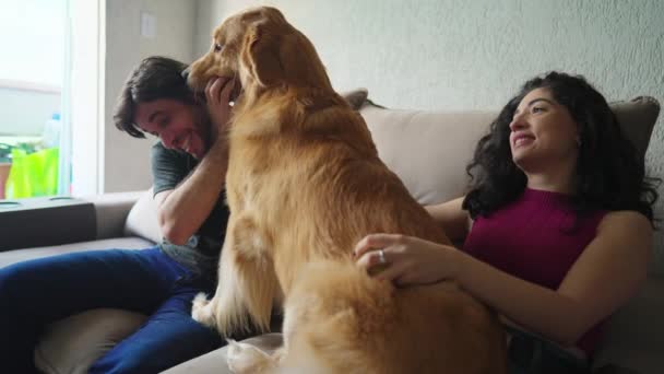 Šťastný Pár Baví Roztomilé Labrador Pes Doma — Stock video