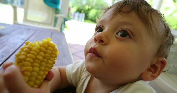 Urocze Dziecko Ekspresyjne Twarz Trzyma Kukurydzę — Zdjęcie stockowe