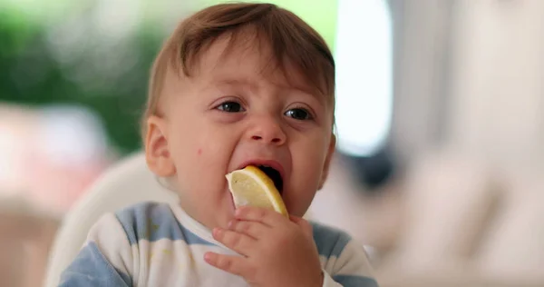 Bebê Tentando Limão Pela Primeira Vez Criança Expressão Rosto Sorridente — Fotografia de Stock