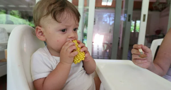 Baby Eating Corn Highchair — 스톡 사진