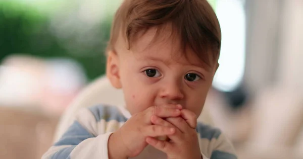 Baby Mencoba Lemon Untuk Pertama Kalinya Ekspresi Wajah Balita Bayi — Stok Foto