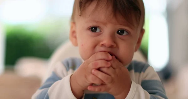Lindo Bebé Intenta Limón Ácido Cara Niño Pequeño Mueca —  Fotos de Stock