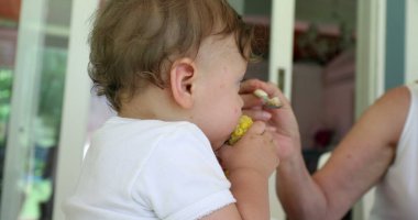 Parent feeding adorable baby infant on highchair. Cute toddler holding and eating corn