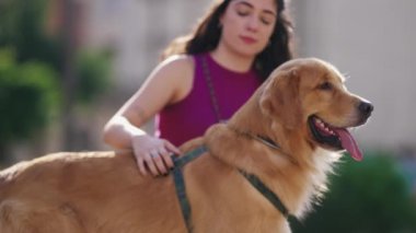 Parkta elinde Golden Retriever Dog 'u olan bir kadın. Köpek arkadaşıyla hafta sonunun tadını çıkaran biri.