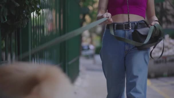 Γυναίκα Που Περπατάει Σκύλο Της Λουρί Στο Δρόμο Της Πόλης — Αρχείο Βίντεο
