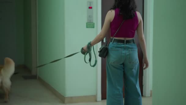 Frau Wartet Mit Aufzug Und Geht Mit Hund Der Leine — Stockvideo
