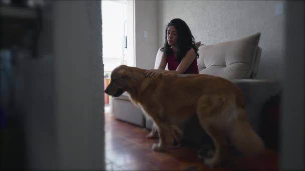 Estilo Vida Sincero Una Joven Pensativa Dentro Apartamento Con Perro — Vídeos de Stock
