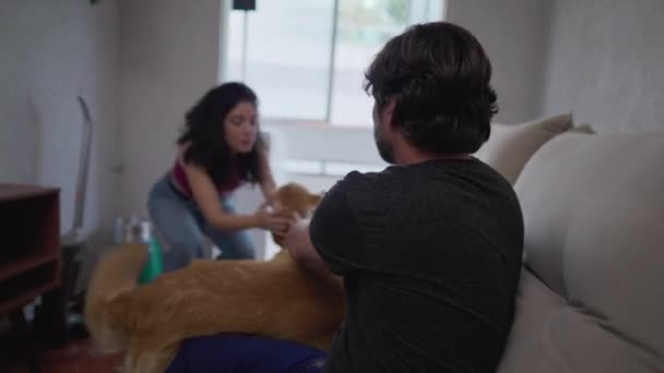 Paar Streichelt Seinen Dog Golden Retriever Wohnhaus Auf Dem Sofa — Stockvideo