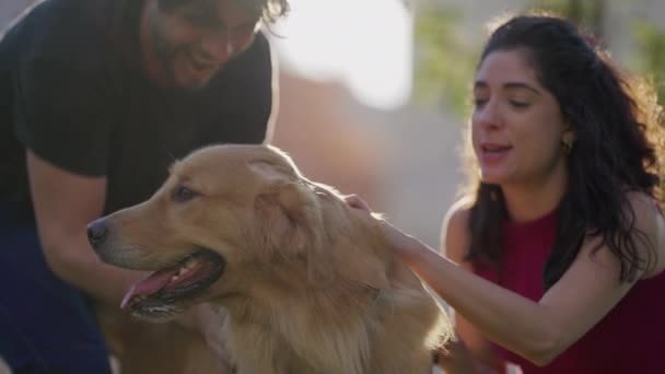 Golden Retriever Dog Bărbat Femeie Parc Lumina Soarelui Cuplu Care — Videoclip de stoc