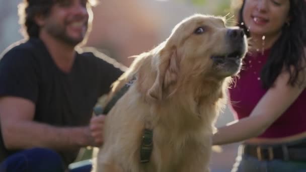 Venku Štěká Neklidný Pes Pár Sezení Venku Svým Zlatým Retrívrem — Stock video