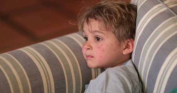 Candid Little Boy Child Hypnotized Screen Night Sofa — Photo