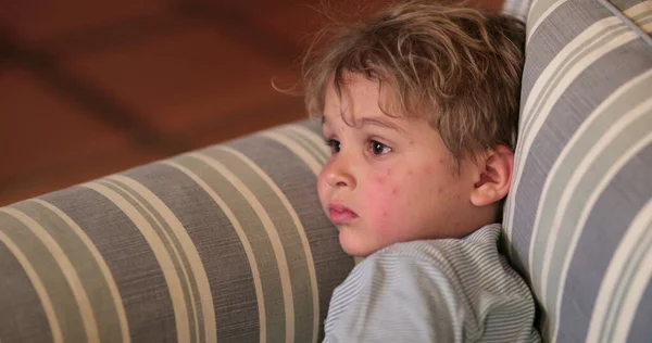Candid Little Boy Child Hypnotized Screen Night Sofa — Zdjęcie stockowe
