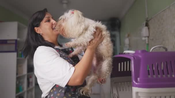 ペットショップの幸せな女性従業員はケージから小犬を取り 洗浄の準備 — ストック動画
