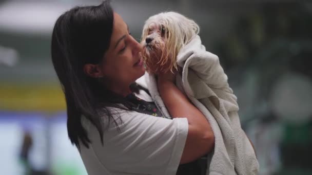 Místní Majitel Pet Shop Zaměstnanec Hrdě Displej Shih Tzu Pet — Stock video
