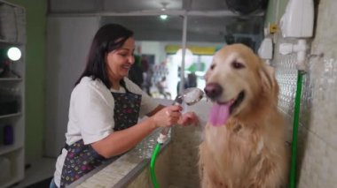 Mutlu Brezilyalı Çalışan Temizlikçi Köpek Hayvan Dükkanında