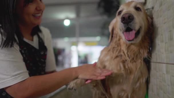 Χαρούμενη Γυναίκα Στο Pet Shop Κολύμβηση Και Πλύσιμο Πόδι Του — Αρχείο Βίντεο