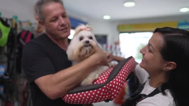 Επαγγελματική Υπηρεσία Κατοικίδιων Ζώων Γυναίκα Παραδίδοντας Μικρό Σκυλί Στον Ιδιοκτήτη — Αρχείο Βίντεο