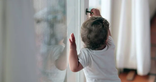 Baby Toddler Wanting Holding Window Knob — 스톡 사진