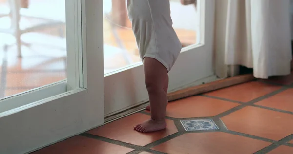 Sevimli Bebek Çıkmak Istiyor Pencere Tokmağını Tutuyor — Stok fotoğraf