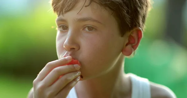 Menino Criança Comendo Lanche Frutas Saudável Livre Durante Tempo Hora — Fotografia de Stock