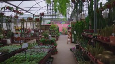 Bahçıvanlık Mağazası 'nın iç kısmı çekim hareketlerinde. Çiçekçi Dükkanı yerel işletmesi