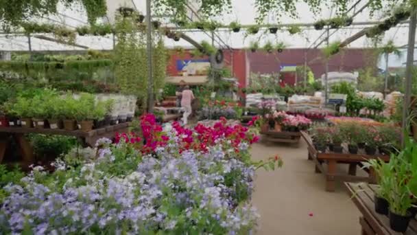 Innenansicht Des Lokalen Gartenbauzuliefergeschäfts Blumengeschäft — Stockvideo