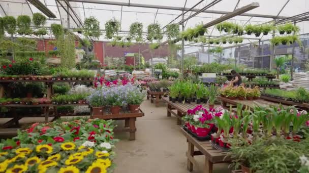 Interieur Des Gartenbaugeschäfts Versorgung Blumenladen Lokale Geschäfte — Stockvideo