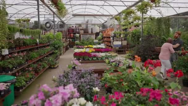 Lebendige Und Bunte Lokale Blumenladen Innenansicht Von Gartenbau Und Gartenbau — Stockvideo