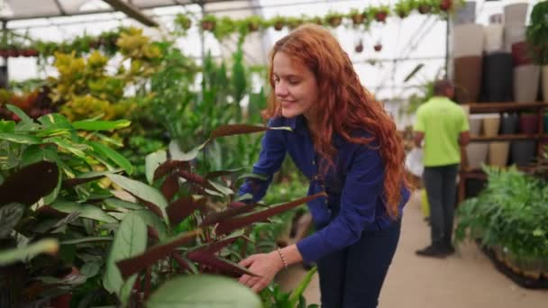 Joyeuse Femme Cueillette Des Plantes Étagère Promener Dans Horticulture Jardinage — Video