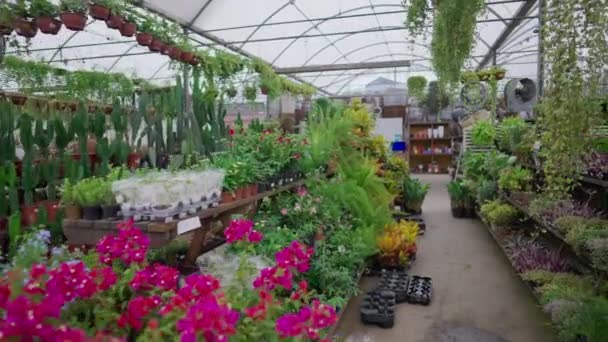 Tracking Shot Gardening Supply Store Negozio Fiori Interni Orticoltura Ambiente — Video Stock