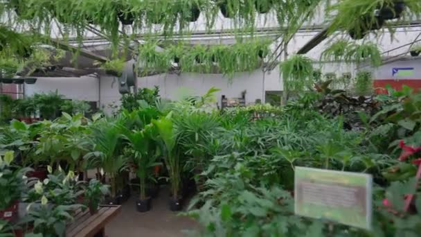 Spurenaufnahme Eines Gartenbaugeschäfts Bewegung Blumenladen Garteninseln Innen — Stockvideo