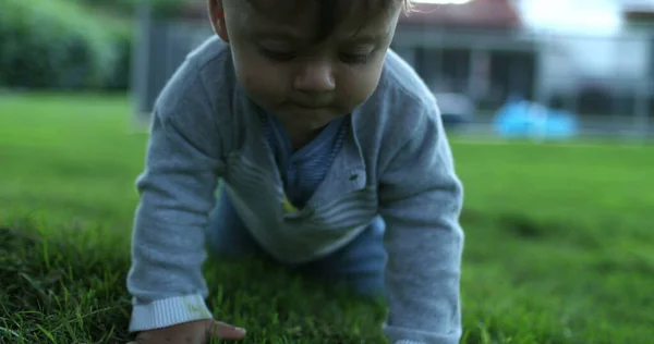 Infant baby crawling outside in home backyard garden grass