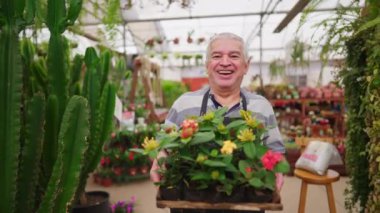 Yerel Bahçe Dükkanı 'nda çalışan Çiçek taşıyan Çiçekçi Dükkanı' nın neşeli, dost canlısı, yaşlı, erkek işyeri sahibi